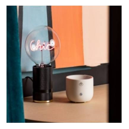 Ηλεκτρικος Αρωματιστης Sprout λευκο