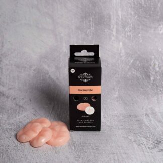 Scentchips σε κουτί Invincible 10 τεμάχια
