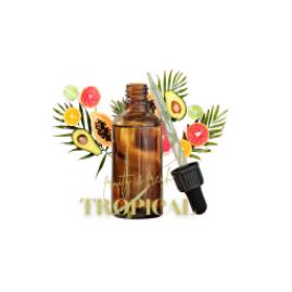 Επαγγελματικό αρωματικό έλαιο χώρου Tropical 1l